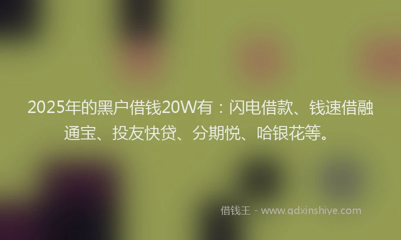 2025年的黑户借钱20W有：闪电借款、钱速借融通宝、投友快贷、分期悦、哈银花等。