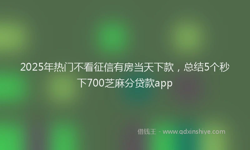 2025年热门不看征信有房当天下款，总结5个秒下700芝麻分贷款app