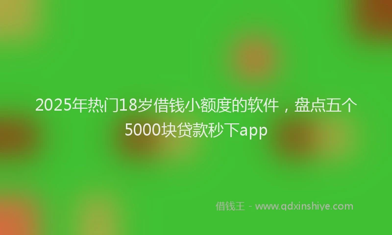 2025年热门18岁借钱小额度的软件，盘点五个5000块贷款秒下app