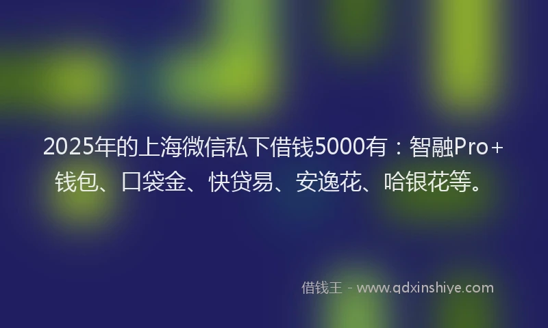 2025年的上海微信私下借钱5000有：智融Pro+钱包、口袋金、快贷易、安逸花、哈银花等。