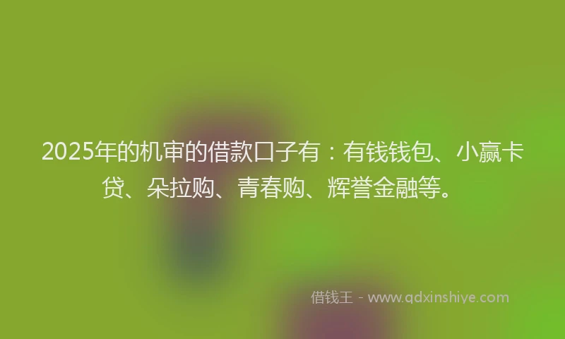2025年的机审的借款口子有：有钱钱包、小赢卡贷、朵拉购、青春购、辉誉金融等。
