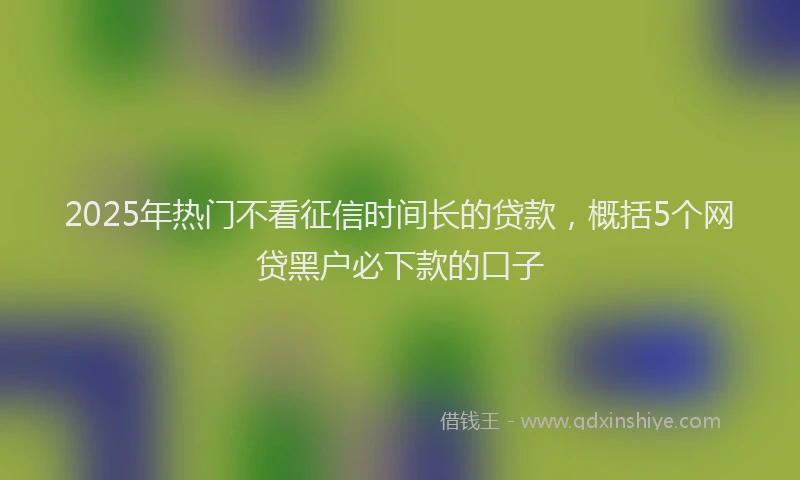 2025年热门不看征信时间长的贷款，概括5个网贷黑户必下款的口子