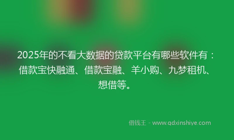2025年的不看大数据的贷款平台有哪些软件有：借款宝快融通、借款宝融、羊小购、九梦租机、想借等。