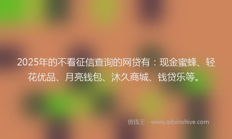 2025年的不看征信查询的网贷有：现金蜜蜂、轻花优品、月亮钱包、沐久商城、钱贷乐等。