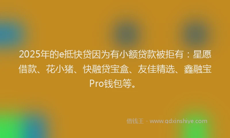 2025年的e抵快贷因为有小额贷款被拒有：星愿借款、花小猪、快融贷宝盒、友佳精选、鑫融宝Pro钱包等。