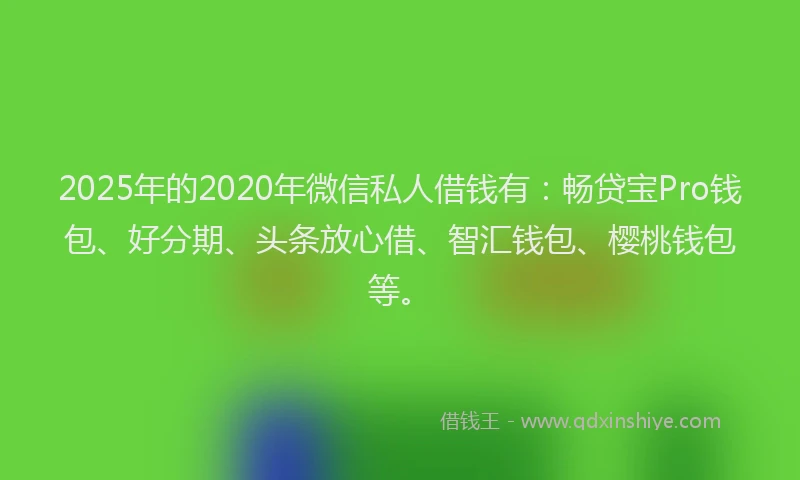 2025年的2020年微信私人借钱有：畅贷宝Pro钱包、好分期、头条放心借、智汇钱包、樱桃钱包等。