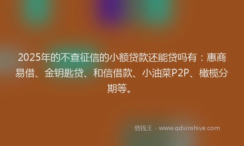 2025年的不查征信的小额贷款还能贷吗有:惠商易借、金钥匙贷、和信借款、小油菜P2P、橄榄分期等。