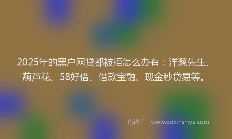 2025年的黑户网贷都被拒怎么办有：洋葱先生、葫芦花、58好借、借款宝融、现金秒贷易等。