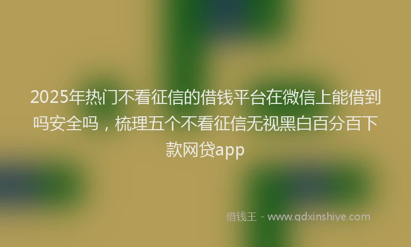 2025年热门不看征信的借钱平台在微信上能借到吗安全吗，梳理五个不看征信无视黑白百分百下款网贷app