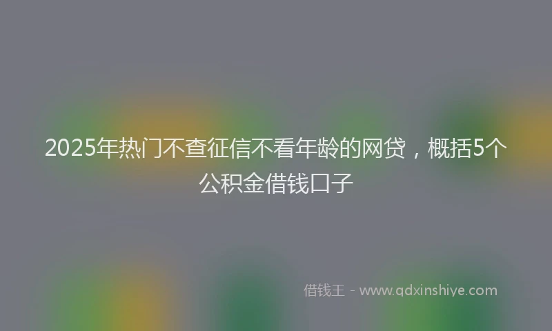2025年热门不查征信不看年龄的网贷，概括5个公积金借钱口子