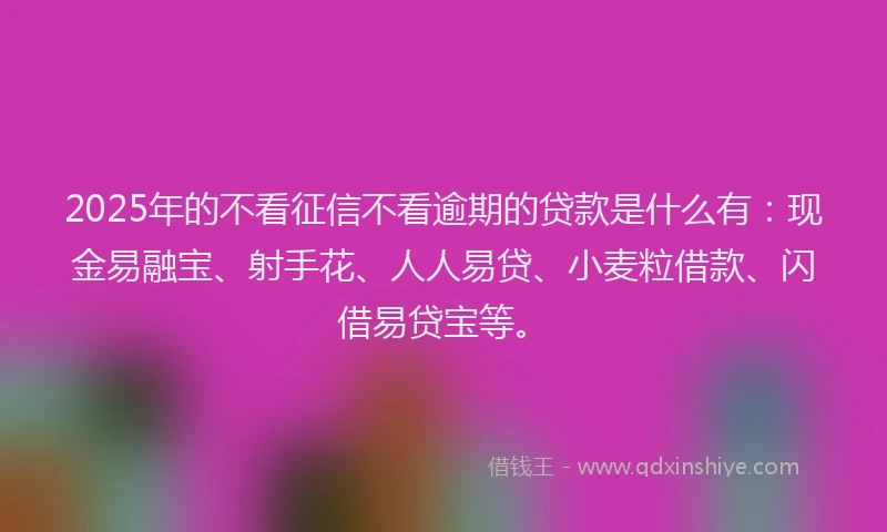 2025年的不看征信不看逾期的贷款是什么有：现金易融宝、射手花、人人易贷、小麦粒借款、闪借易贷宝等。