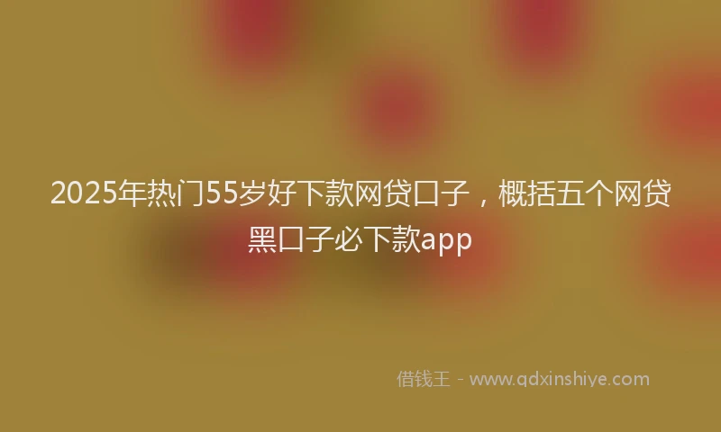 2025年热门55岁好下款网贷口子，概括五个网贷黑口子必下款app