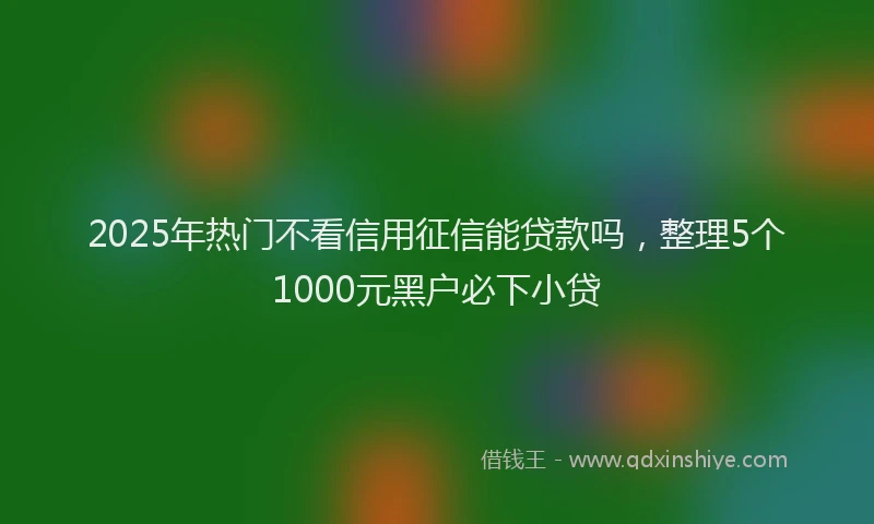 2025年热门不看信用征信能贷款吗，整理5个1000元黑户必下小贷