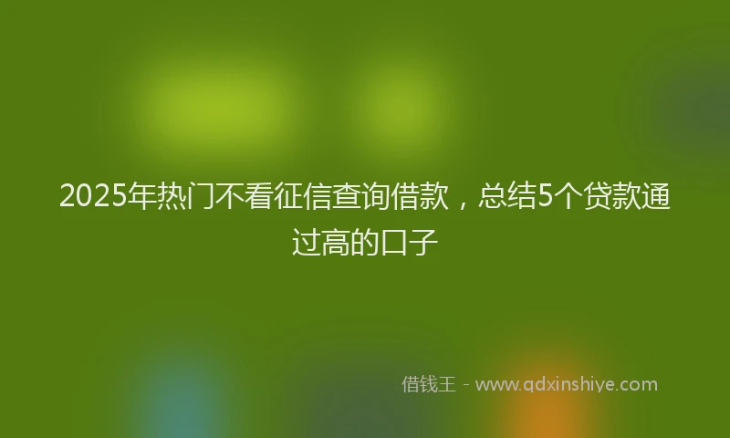 2025年热门不看征信查询借款，总结5个贷款通过高的口子