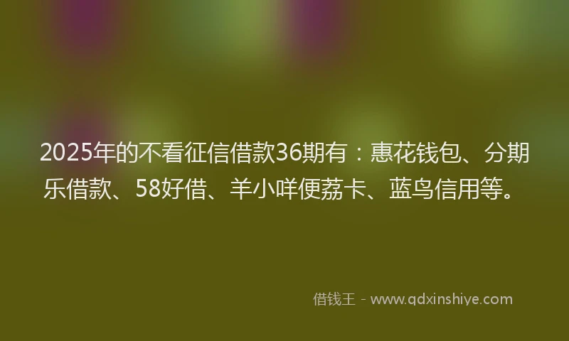 2025年的不看征信借款36期有：惠花钱包、分期乐借款、58好借、羊小咩便荔卡、蓝鸟信用等。
