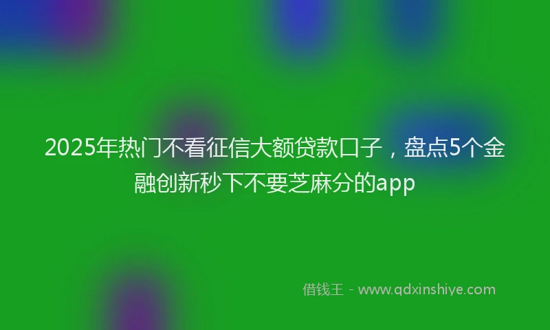 2025年热门不看征信大额贷款口子，盘点5个金融创新秒下不要芝麻分的app