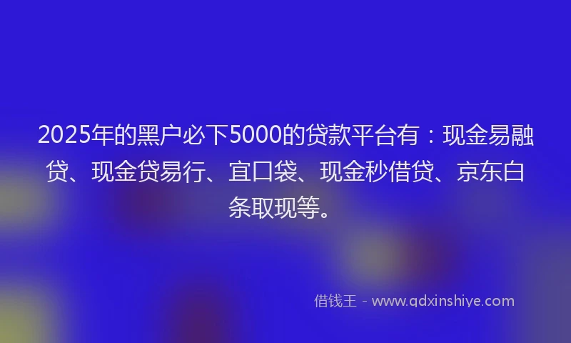 2025年的黑户必下5000的贷款平台有：现金易融贷、现金贷易行、宜口袋、现金秒借贷、京东白条取现等。