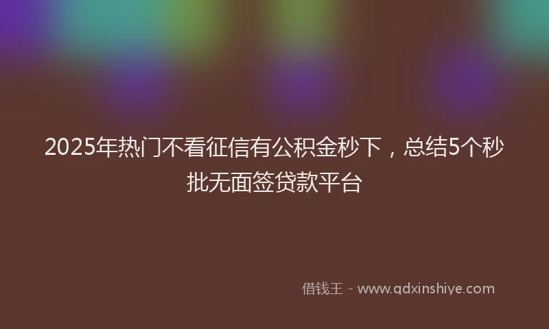 2025年热门不看征信有公积金秒下，总结5个秒批无面签贷款平台