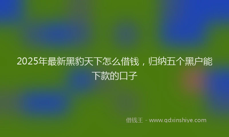 2025年最新黑豹天下怎么借钱，归纳五个黑户能下款的口子