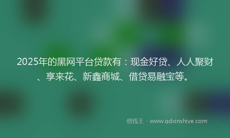 2025年的黑网平台贷款有：现金好贷、人人聚财、享来花、新鑫商城、借贷易融宝等。