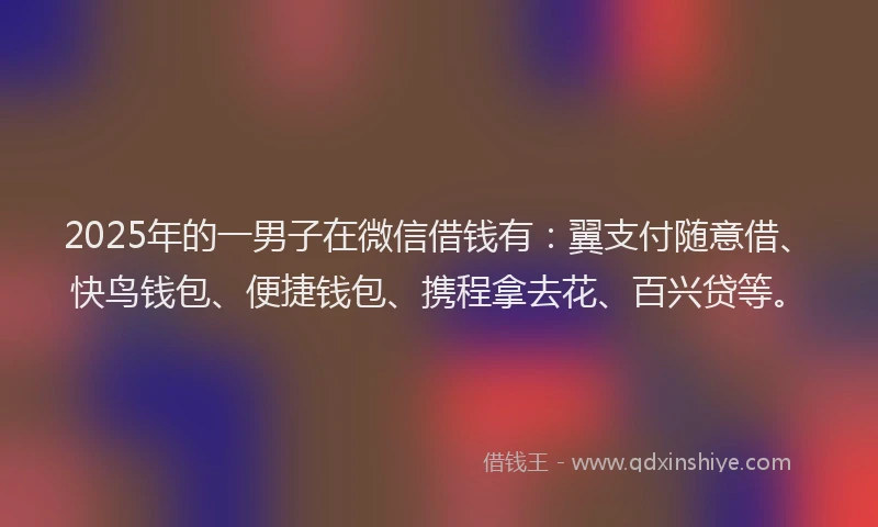 2025年的一男子在微信借钱有：翼支付随意借、快鸟钱包、便捷钱包、携程拿去花、百兴贷等。