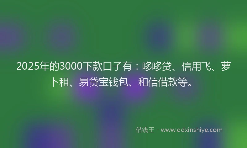 2025年的3000下款口子有：哆哆贷、信用飞、萝卜租、易贷宝钱包、和信借款等。