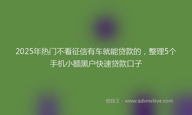 2025年热门不看征信有车就能贷款的，整理5个手机小额黑户快速贷款口子