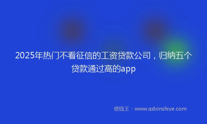 2025年热门不看征信的工资贷款公司，归纳五个贷款通过高的app
