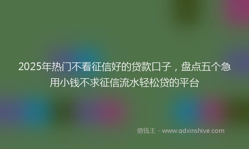 2025年热门不看征信好的贷款口子，盘点五个急用小钱不求征信流水轻松贷的平台