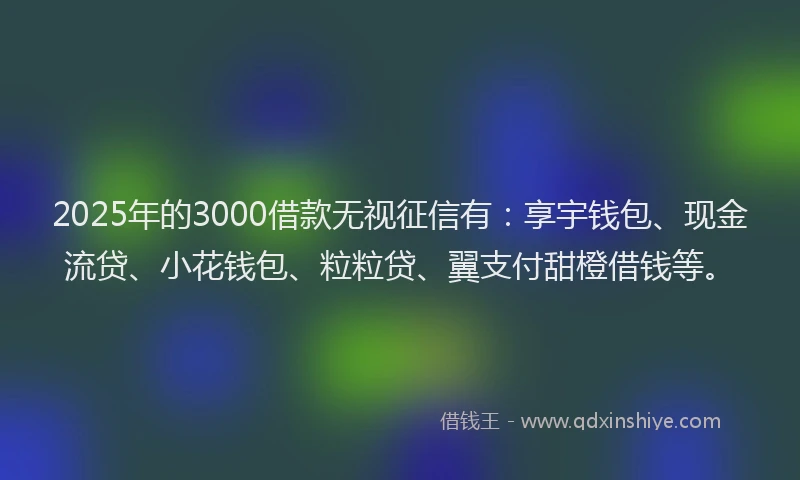 2025年的3000借款无视征信有：享宇钱包、现金流贷、小花钱包、粒粒贷、翼支付甜橙借钱等。