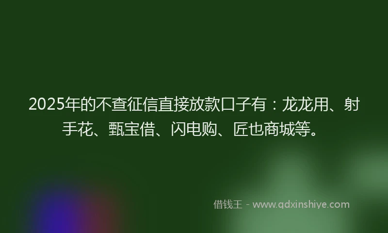 2025年的不查征信直接放款口子有：龙龙用、射手花、甄宝借、闪电购、匠也商城等。