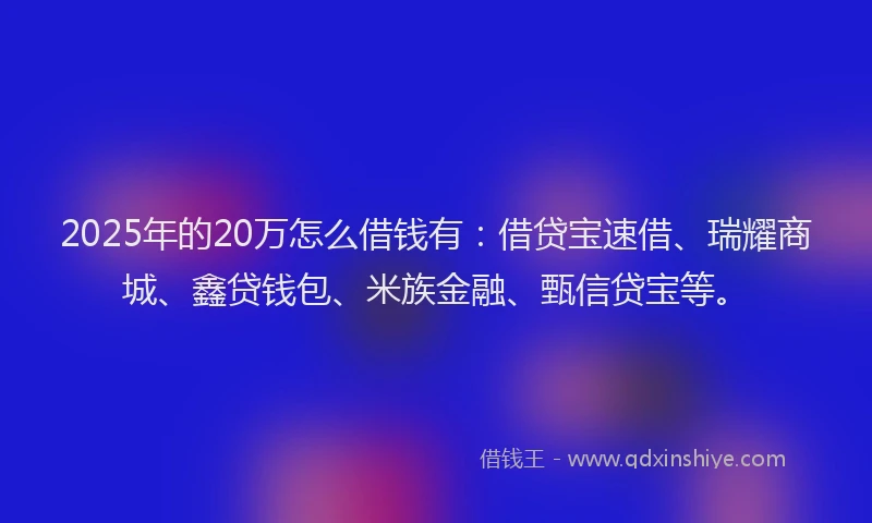 2025年的20万怎么借钱有：借贷宝速借、瑞耀商城、鑫贷钱包、米族金融、甄信贷宝等。