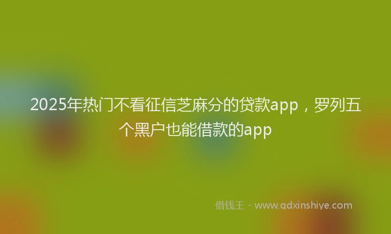 2025年热门不看征信芝麻分的贷款app，罗列五个黑户也能借款的app