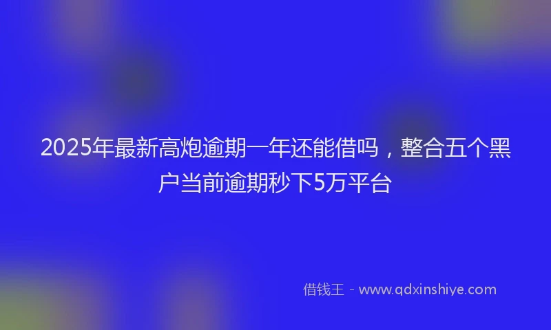 2025年最新高炮逾期一年还能借吗，整合五个黑户当前逾期秒下5万平台