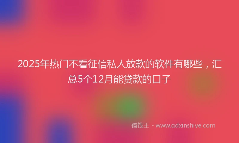2025年热门不看征信私人放款的软件有哪些，汇总5个12月能贷款的口子