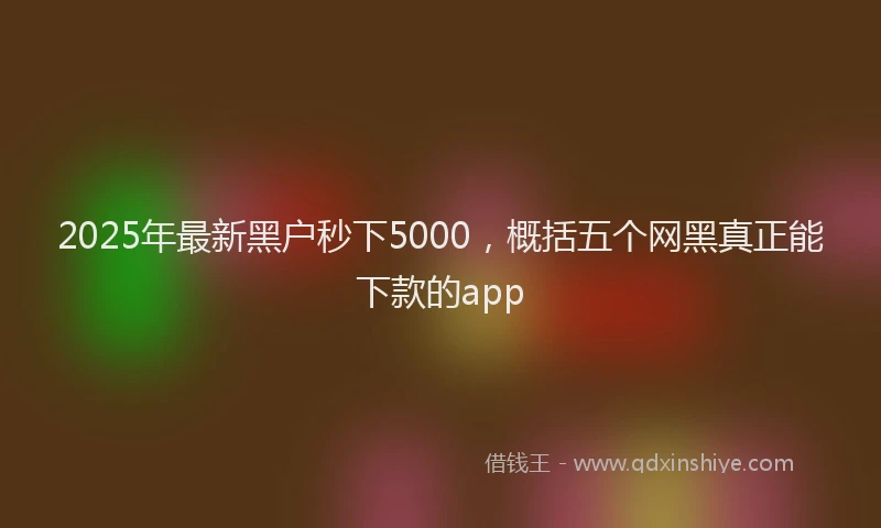 2025年最新黑户秒下5000，概括五个网黑真正能下款的app