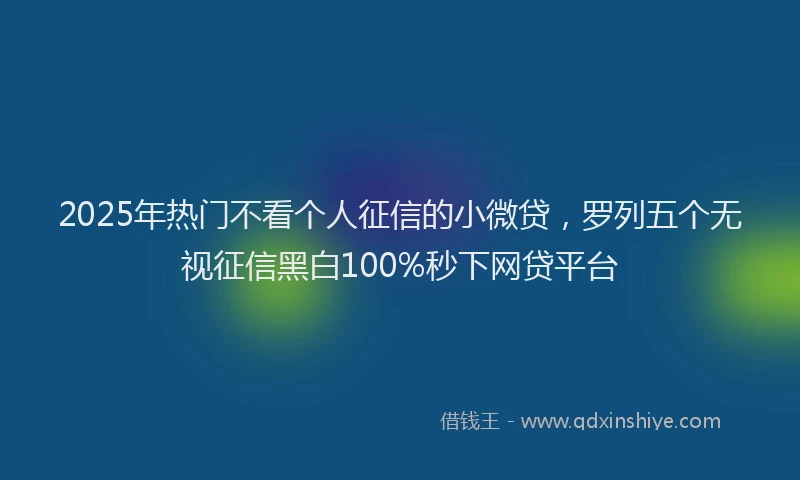 2025年热门不看个人征信的小微贷，罗列五个无视征信黑白100%秒下网贷平台