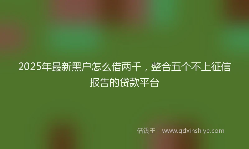 2025年最新黑户怎么借两千，整合五个不上征信报告的贷款平台