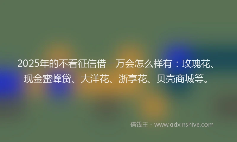 2025年的不看征信借一万会怎么样有：玫瑰花、现金蜜蜂贷、大洋花、浙享花、贝壳商城等。