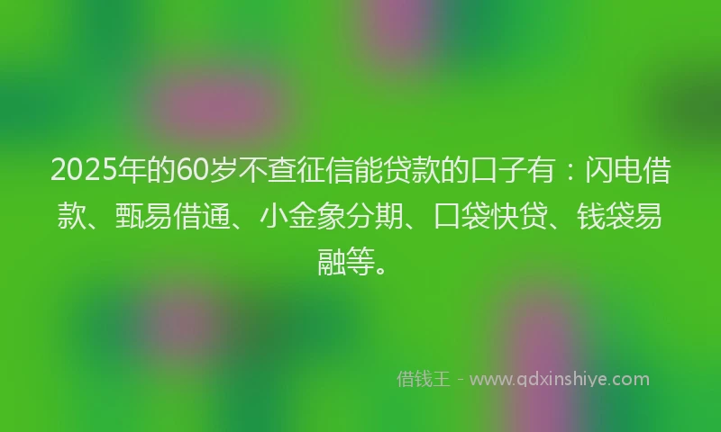 2025年的60岁不查征信能贷款的口子有：闪电借款、甄易借通、小金象分期、口袋快贷、钱袋易融等。