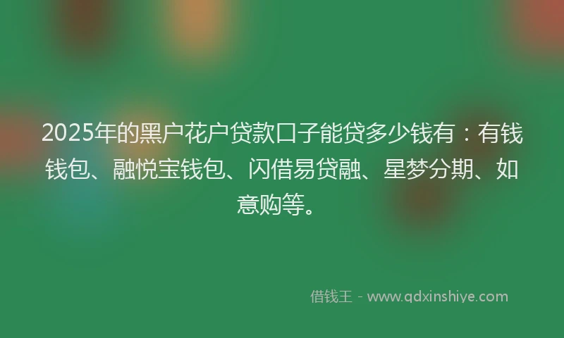2025年的黑户花户贷款口子能贷多少钱有：有钱钱包、融悦宝钱包、闪借易贷融、星梦分期、如意购等。