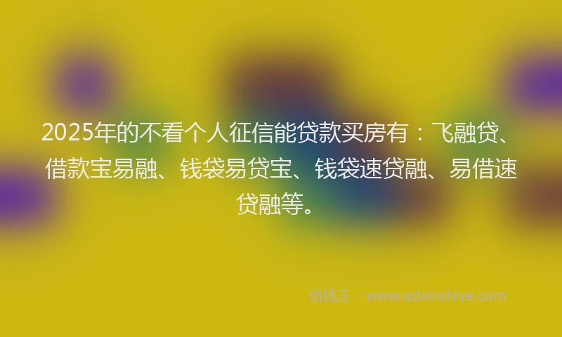 2025年的不看个人征信能贷款买房有：飞融贷、借款宝易融、钱袋易贷宝、钱袋速贷融、易借速贷融等。