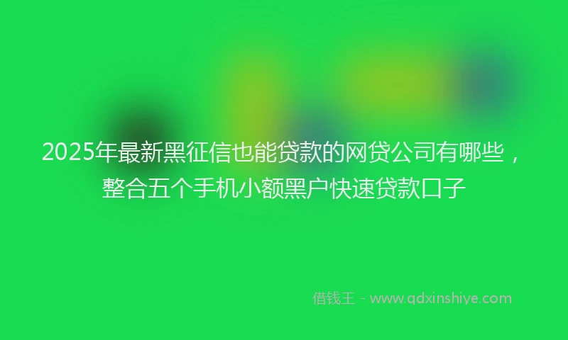 2025年最新黑征信也能贷款的网贷公司有哪些，整合五个手机小额黑户快速贷款口子