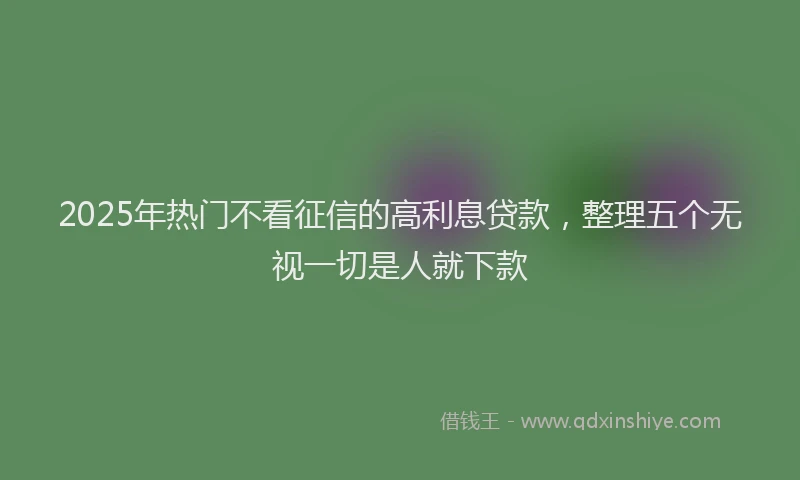 2025年热门不看征信的高利息贷款，整理五个无视一切是人就下款