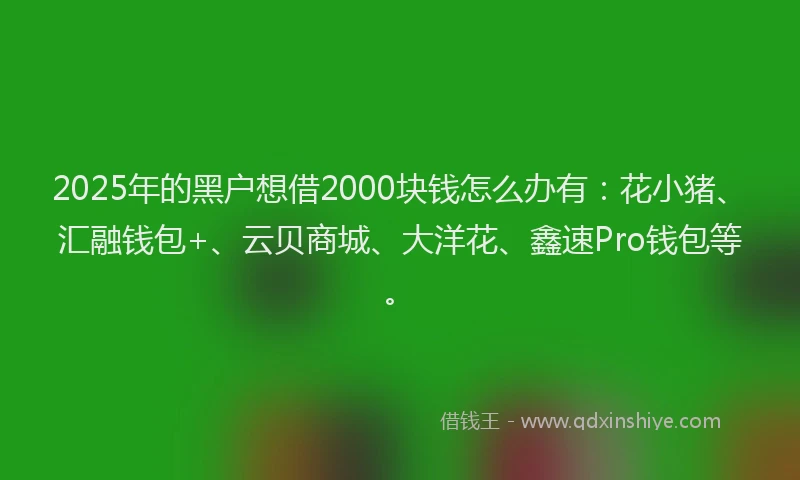 2025年的黑户想借2000块钱怎么办有：花小猪、汇融钱包+、云贝商城、大洋花、鑫速Pro钱包等。