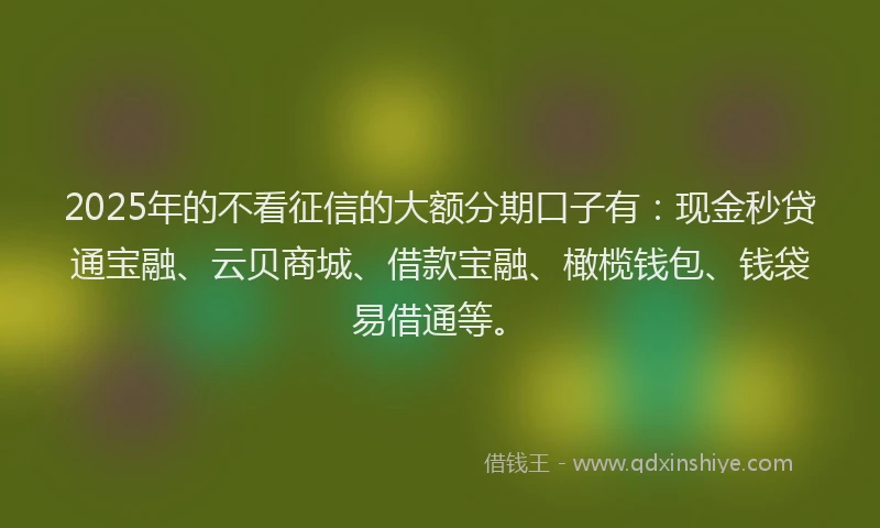 2025年的不看征信的大额分期口子有：现金秒贷通宝融、云贝商城、借款宝融、橄榄钱包、钱袋易借通等。