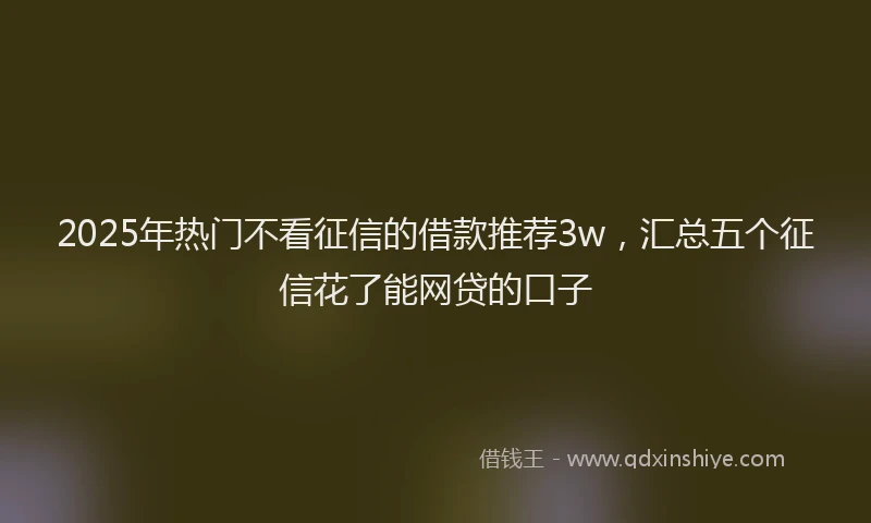 2025年热门不看征信的借款推荐3w，汇总五个征信花了能网贷的口子