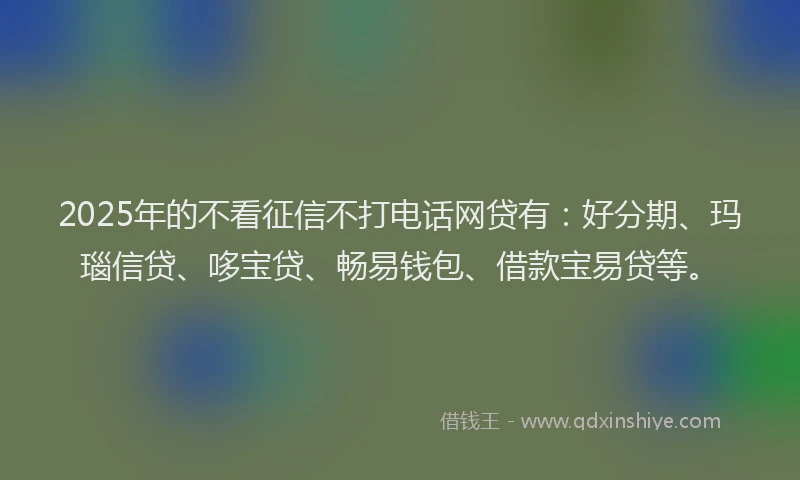 2025年的不看征信不打电话网贷有：好分期、玛瑙信贷、哆宝贷、畅易钱包、借款宝易贷等。