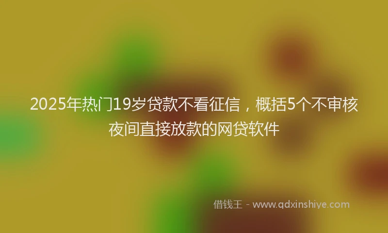 2025年热门19岁贷款不看征信，概括5个不审核夜间直接放款的网贷软件
