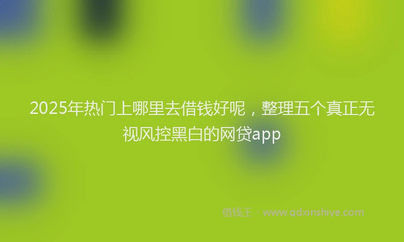 2025年热门上哪里去借钱好呢，整理五个真正无视风控黑白的网贷app